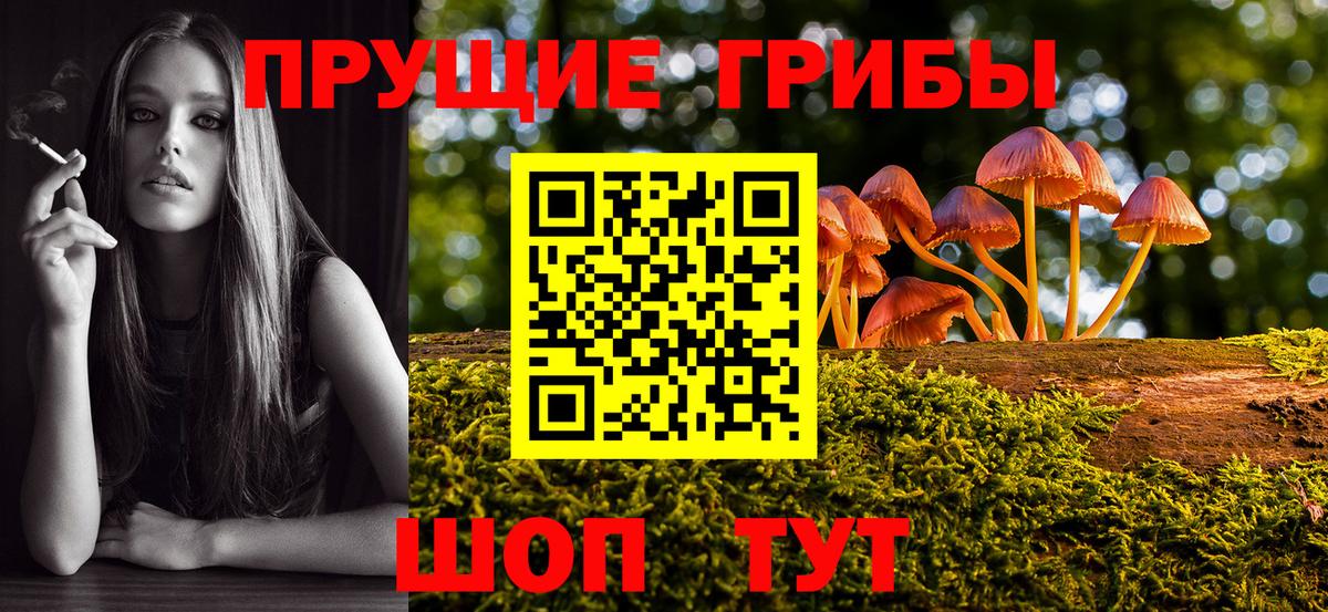Галлюциногенные грибы MAGIC MUSHROOMS  магазин продажи   Гатчина  Вход с VPN 